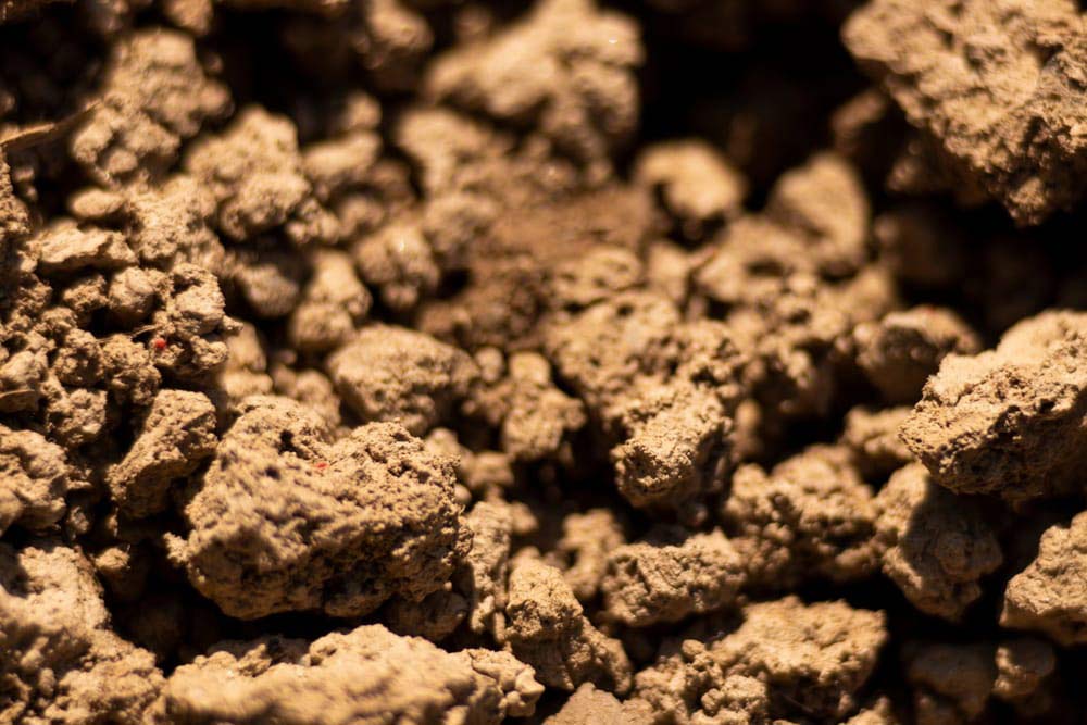What is Soil Stability and Why Is It Important?